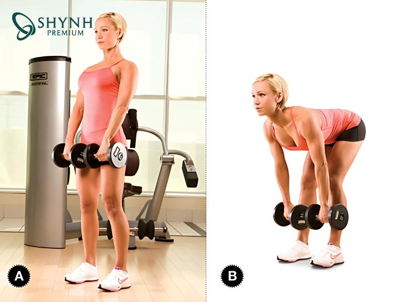 Bài tập tạ giảm mỡ bụng Dumbbell Deadlift giúp tăng sức mạnh toàn thân