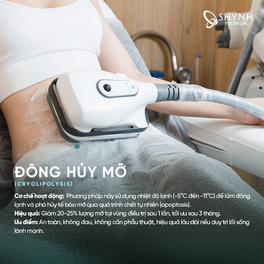 Cooltech Define Pro Plus – Đông hủy mỡ 360° từ Tây Ban Nha của Shynh Premium được ưa chuộng nhờ an toàn và hiệu quả nhanh